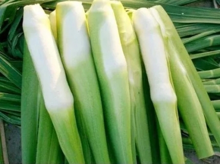 这些蔬菜虽好但一定不要生吃,对人体不好