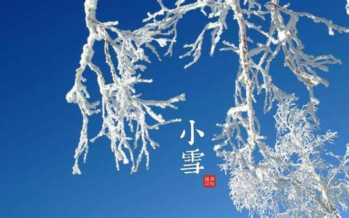 小雪节气说到“肾”,那我们该如何养呢?